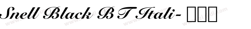 Snell Black BT Itali字体转换
